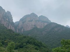 -历山猕猴源景区