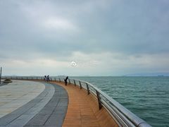 景点-演武大桥观景平台