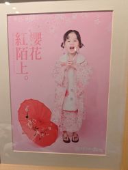 -倾城宝贝儿童摄影(浦东金谊店)