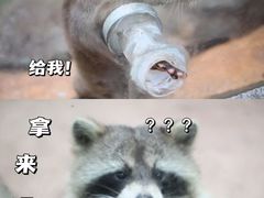 -杭州野生动物世界