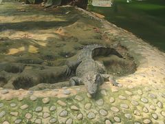 -石家庄市动物园