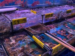 -四海之家(蛇口店)