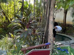 -碧桂园润杨溪谷温泉酒店