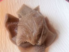 -牛New寿喜烧(金鹰世界店)