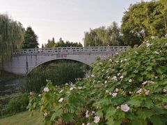 -尚贤河湿地