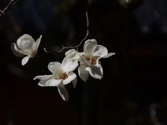 -杭州上天竺法喜讲寺