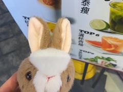 -寿奶茶·鲜奶与茶(合生汇购物中心店)