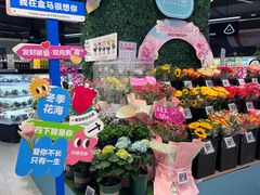 -盒马鲜生(新都心店)