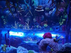 -沈阳海洋探索中心