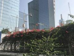 -深圳四季酒店·馥自助餐厅