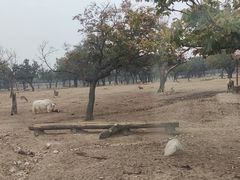 -西安秦岭野生动物园