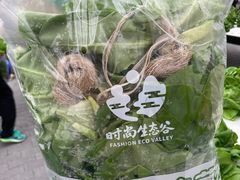 -光明农场大观园