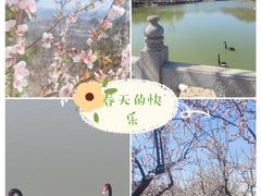 -北宫国家森林公园