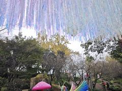-南山植物园