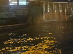 -天目湖涵田半山温泉