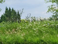 -云漫湖生态度假公园