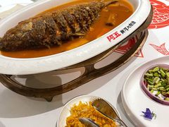 红烧黄河鲤鱼-阿五黄河大鲤鱼(纬三路店)