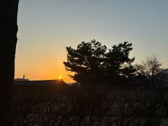 -景福宫