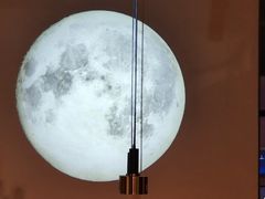 -老板恋上鱼(印象城店)