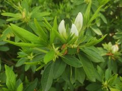 -白塘生态植物园