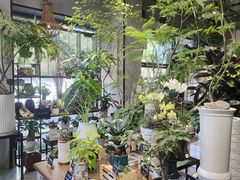 -弗劳尔花艺坊(龙涛店)