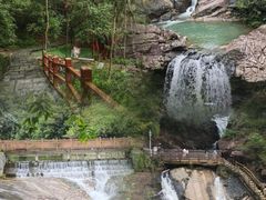 -广州白江湖森林公园