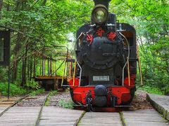 -五营红松林海景区