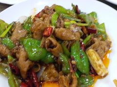 尖椒肥肠-林之六八·6886大连老菜馆