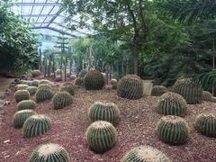 -呀路古热带植物园