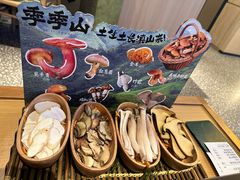 -季季山•云南野生菌火锅(上海首店)