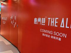 -龙湖重庆时代天街