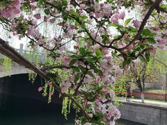 -海棠花溪(元大都城垣遗址公园)