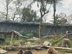 -武汉动物园