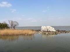 -上海吴淞炮台湾国家湿地公园
