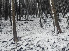 -山王坪喀斯特国家生态公园