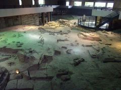 -自贡恐龙博物馆