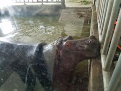 -临沂动植物园