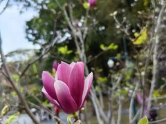 -广州珠江公园
