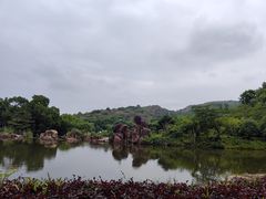 -白马涧龙池景区