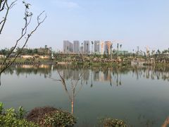 -枫香湖儿童公园