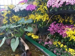 -南通洲际绿博园