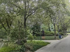 -泰州凤城河风景区-泰山公园