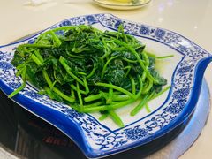 地瓜叶-鑫悦楼煎蟹·16年海鲜大排档