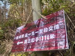 -仙霞关景区