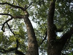 -溪口-滕头旅游景区