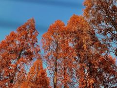 -宁波儿童公园(鄞州区)