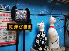 -猫咪博物馆(顶澳仔猫街店)