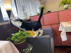 -路易时光(蕴川路店)