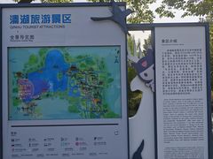 -溱湖国家湿地公园