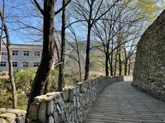 -木兰云雾山